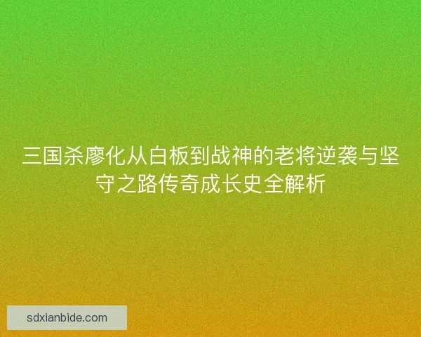 三国杀廖化从白板到战神的老将逆袭与坚守之路传奇成长史全解析