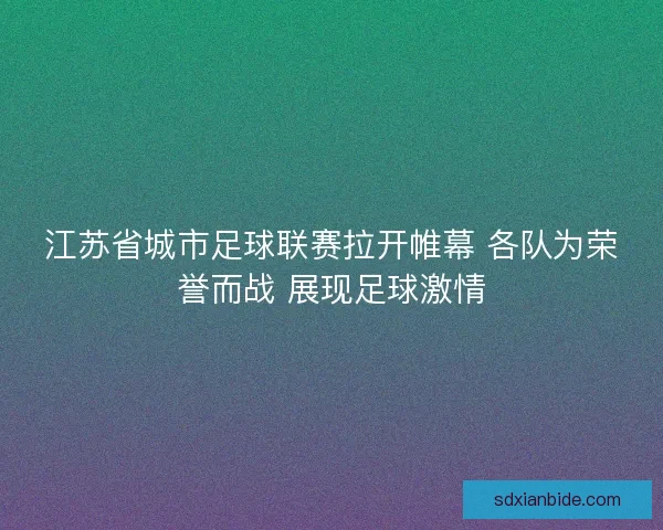 江苏省城市足球联赛拉开帷幕 各队为荣誉而战 展现足球激情